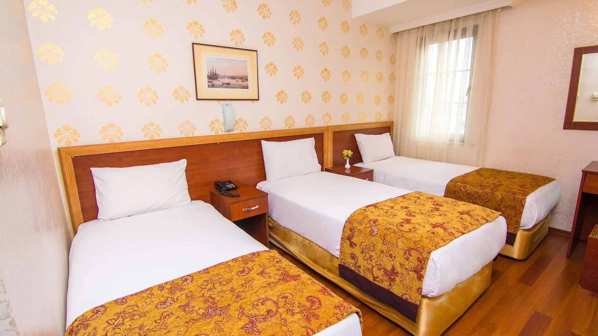 Orient Mintur Hotel Istambul
